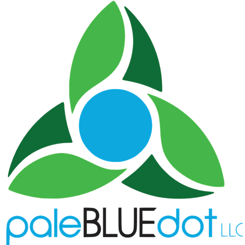 paleBLUEdot logo