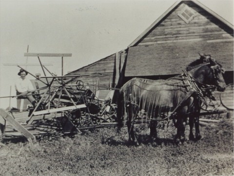 John Lindig at farm, 1875 W. Larpenteur