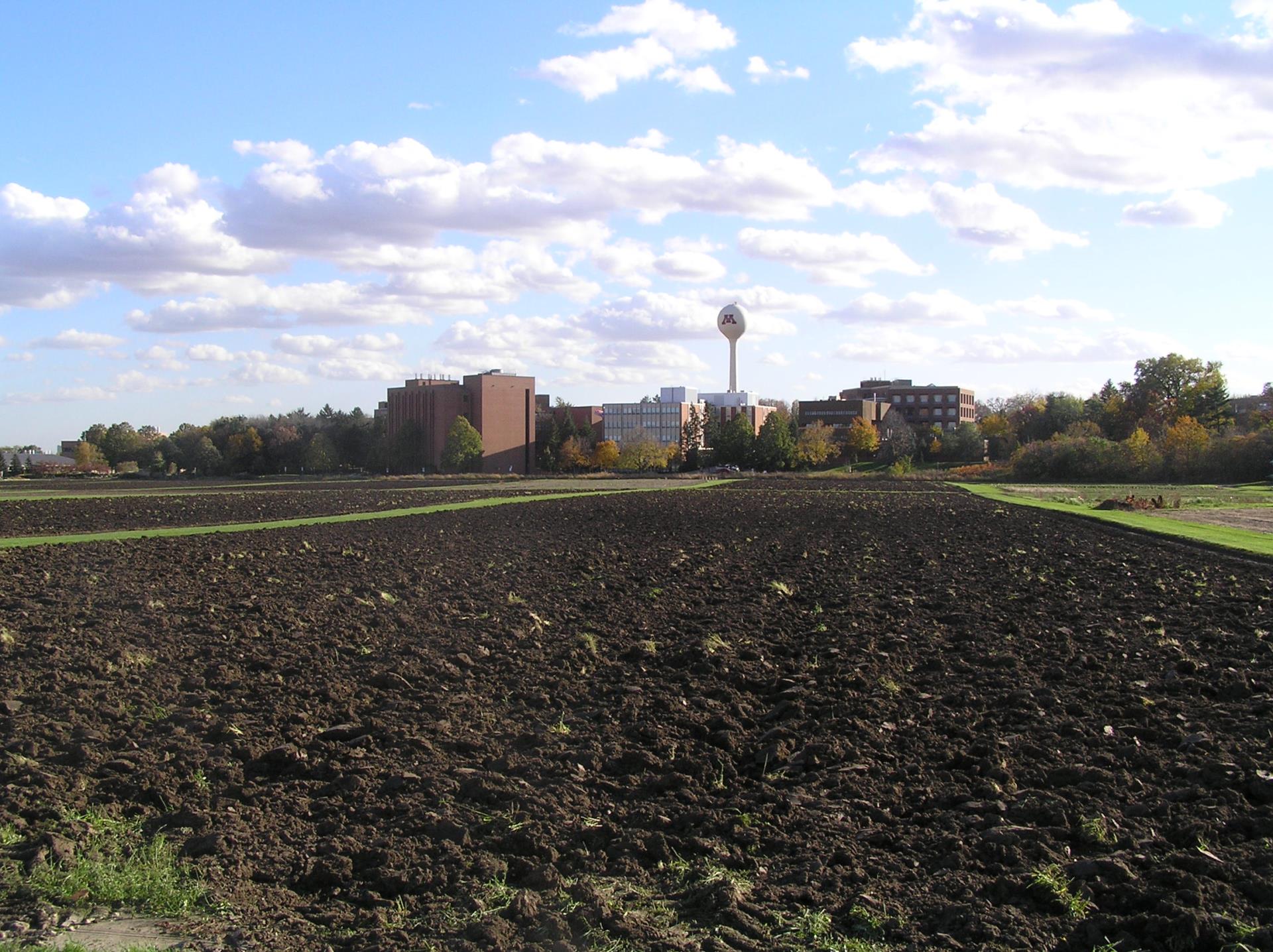 University of Minnesota